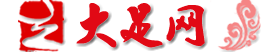 大足网